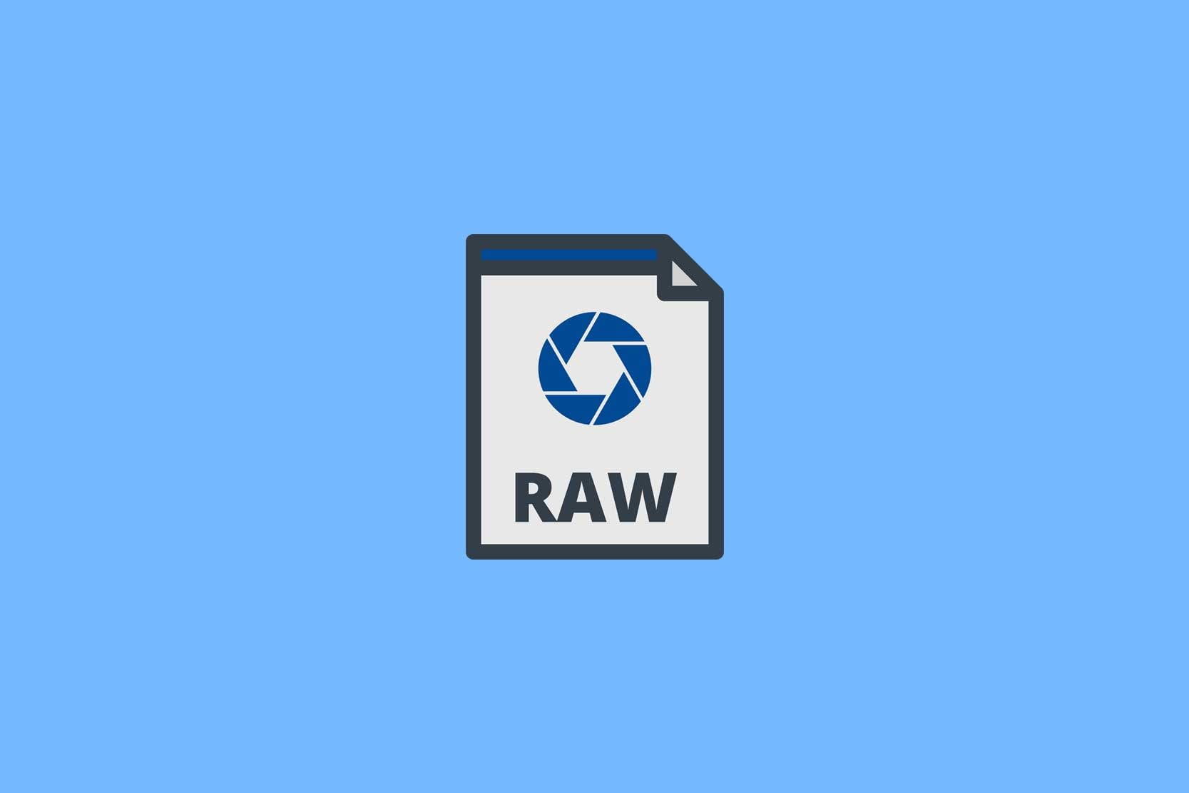 RAW file format icon